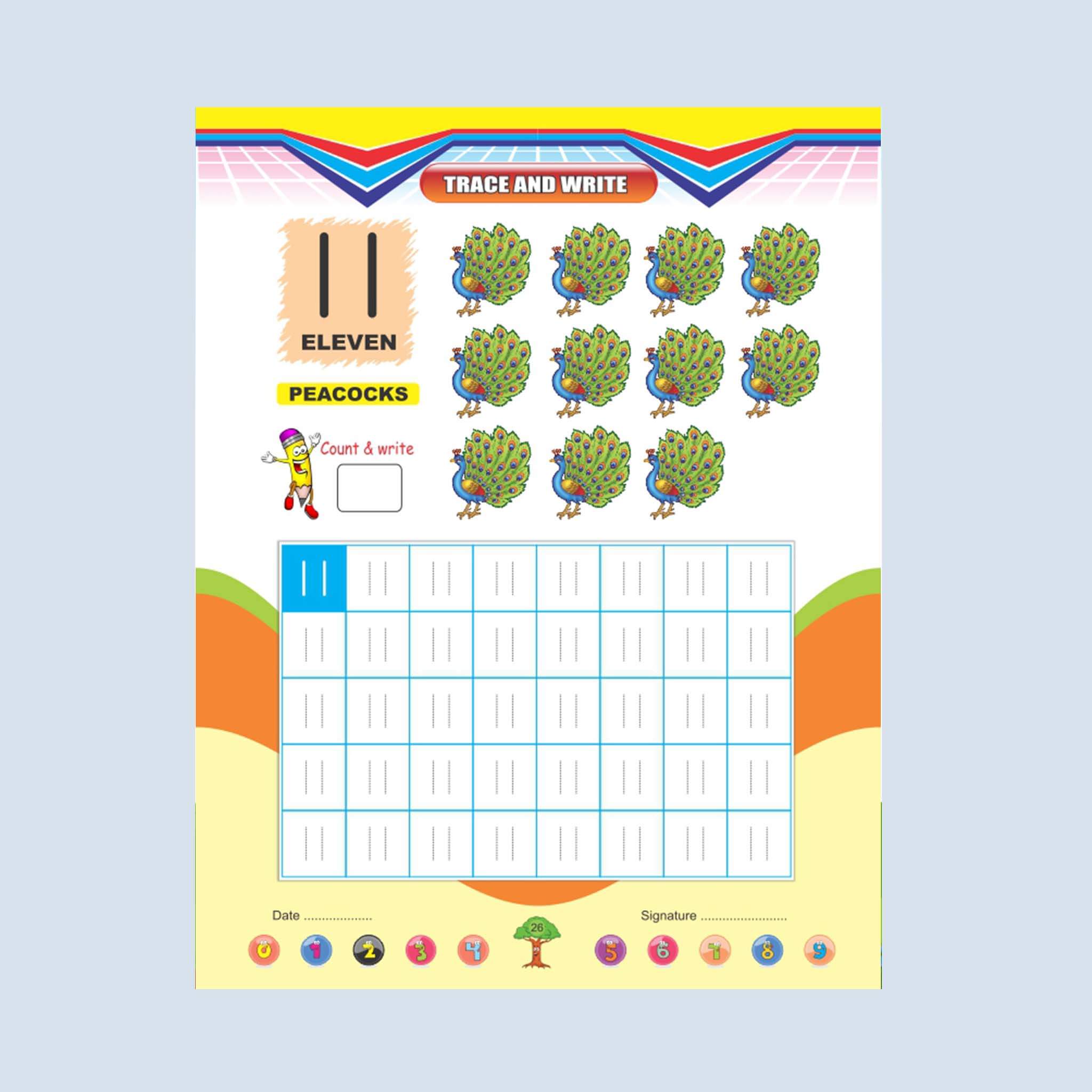 Number (1 to 100)